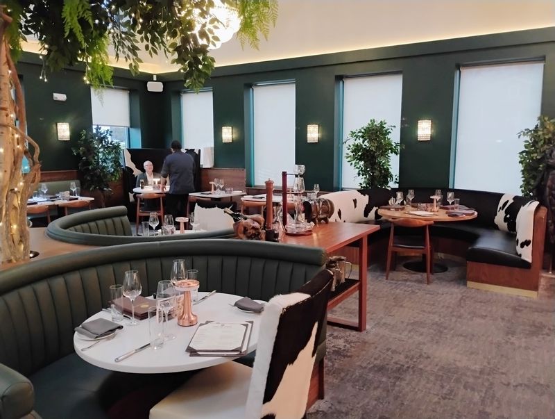 Why This Chophouse Keeps Drawing Steak Fans Back Why This Chophouse Keeps Drawing Steak Fans Back