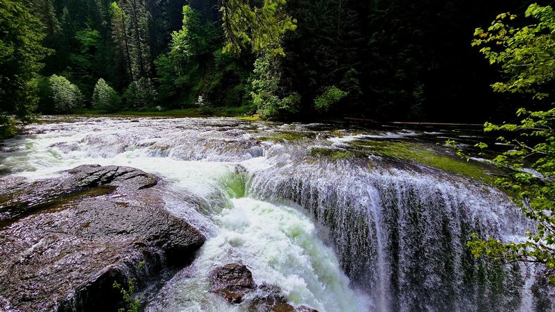 Why This Corner of Washington Sticks With You