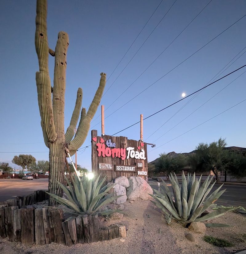 Why This Desert Landmark Endures