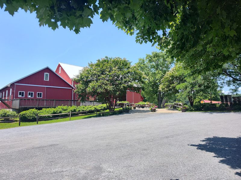 Why This Farm Keeps Drawing People Back Why This Farm Keeps Drawing People Back