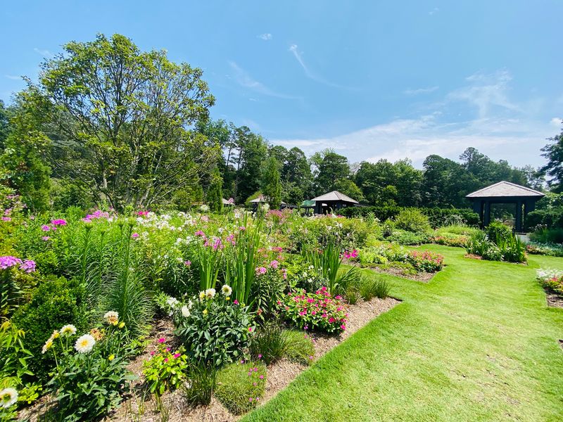 Why This Garden Stays With You Why This Garden Stays With You