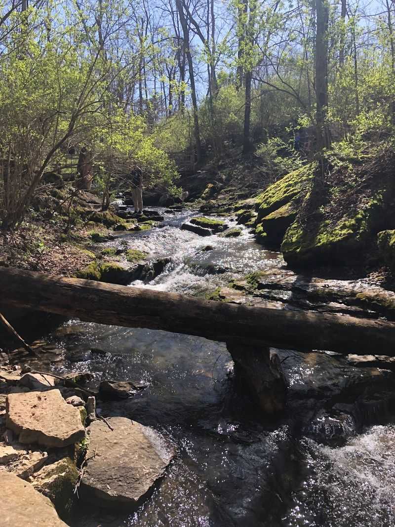 Why This Hidden Preserve Sticks With You Why This Hidden Preserve Sticks With You