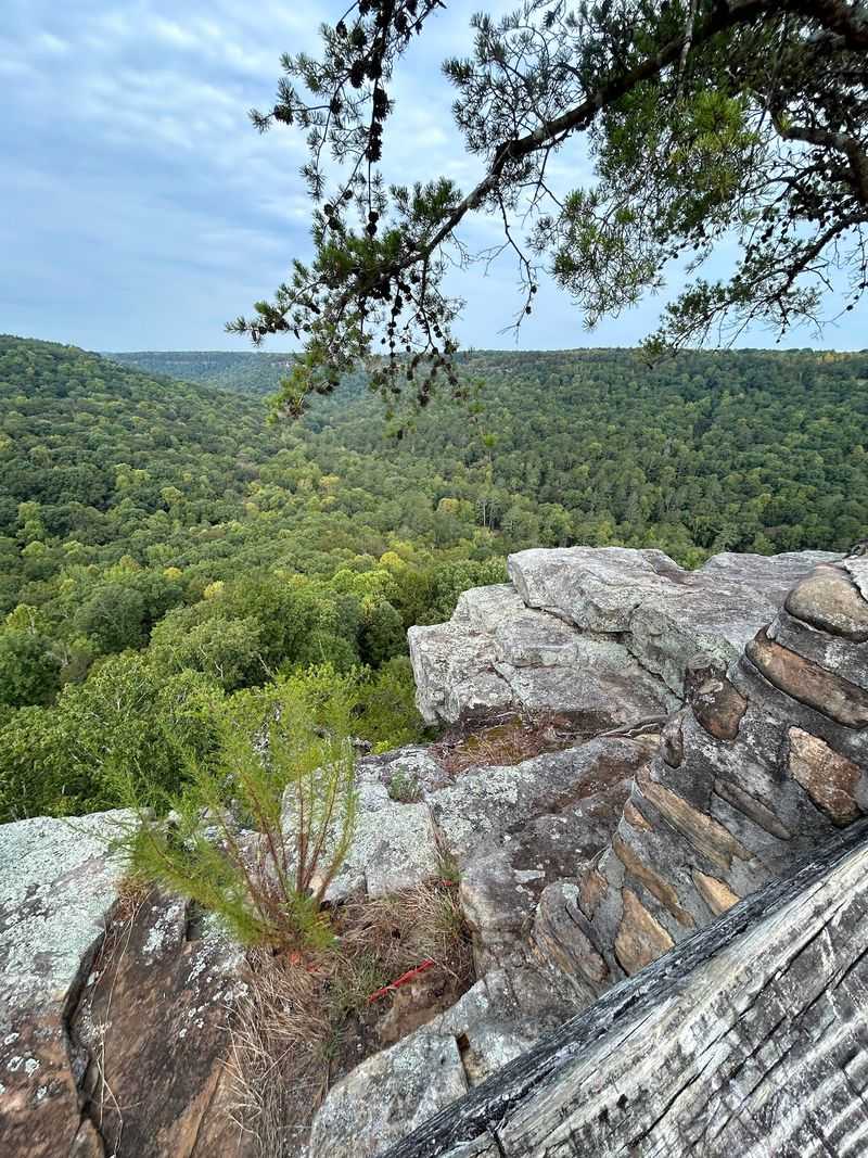 Why This Hideaway Earns Its Fans