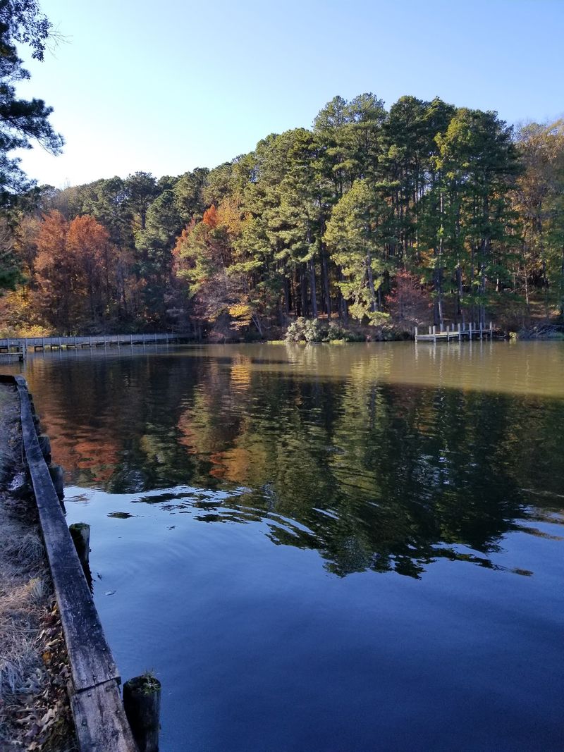 Why This Lakeside Park Wins People Over Why This Lakeside Park Wins People Over