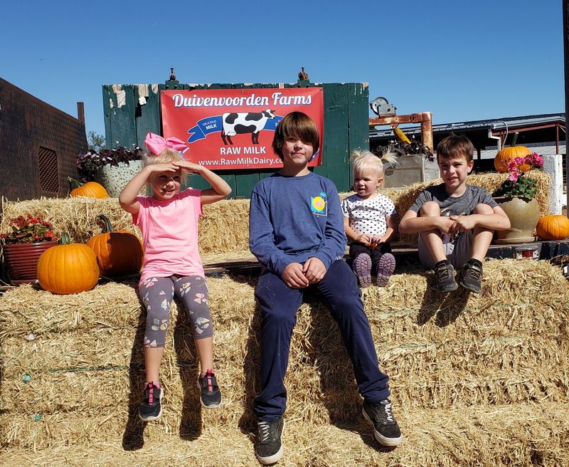 Why This Little Dairy Is Worth the Drive