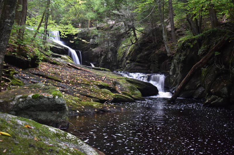 Why This Little Forest Is Worth the Trip
