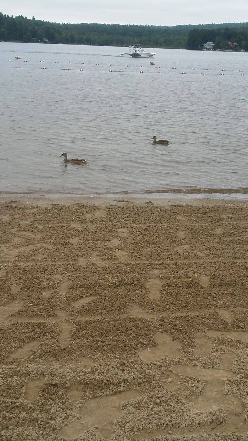Why This Little Lake Keeps Pulling People Back Why This Little Lake Keeps Pulling People Back
