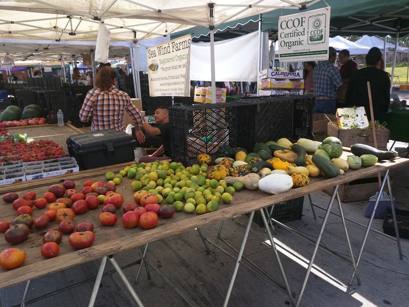 Why This Market Earns Its Weekend Crowd