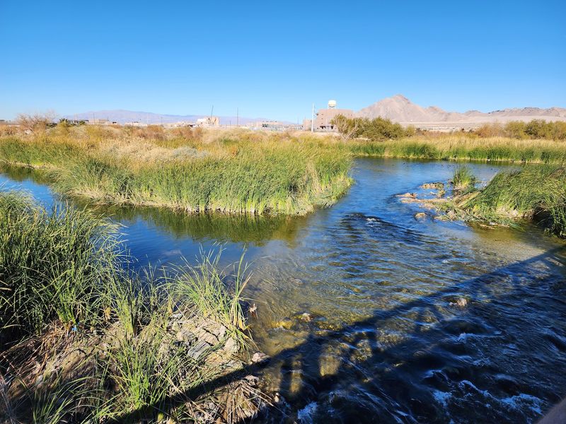 Why This Preserve Deserves A Spot On Your List Why This Preserve Deserves A Spot On Your List