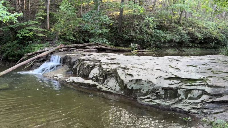Why This Preserve Stays With You