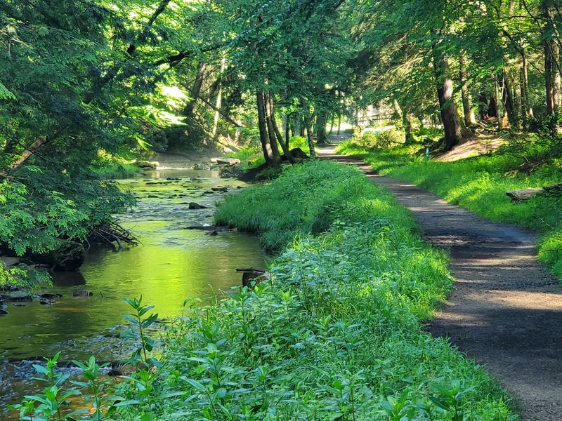 Why This Quiet Park Earns Its Fans Why This Quiet Park Earns Its Fans