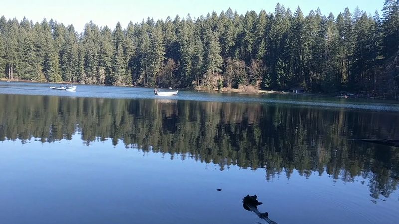 Why This Small Lake Wins Big
