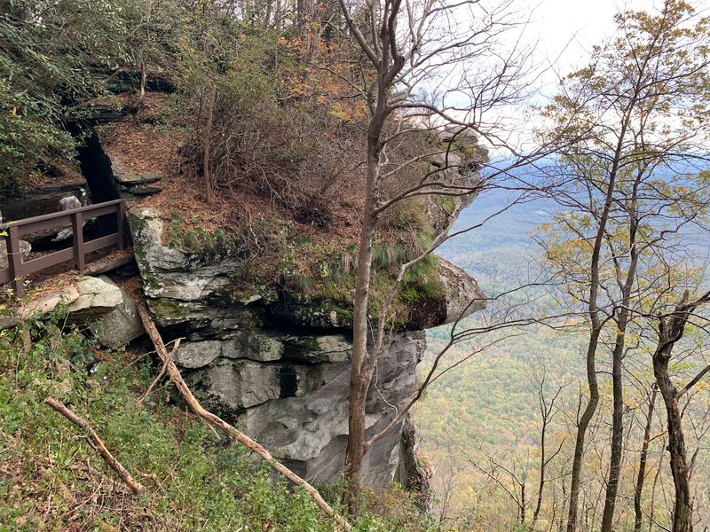 Why This Upstate Gem Is Worth the Trip Why This Upstate Gem Is Worth the Trip