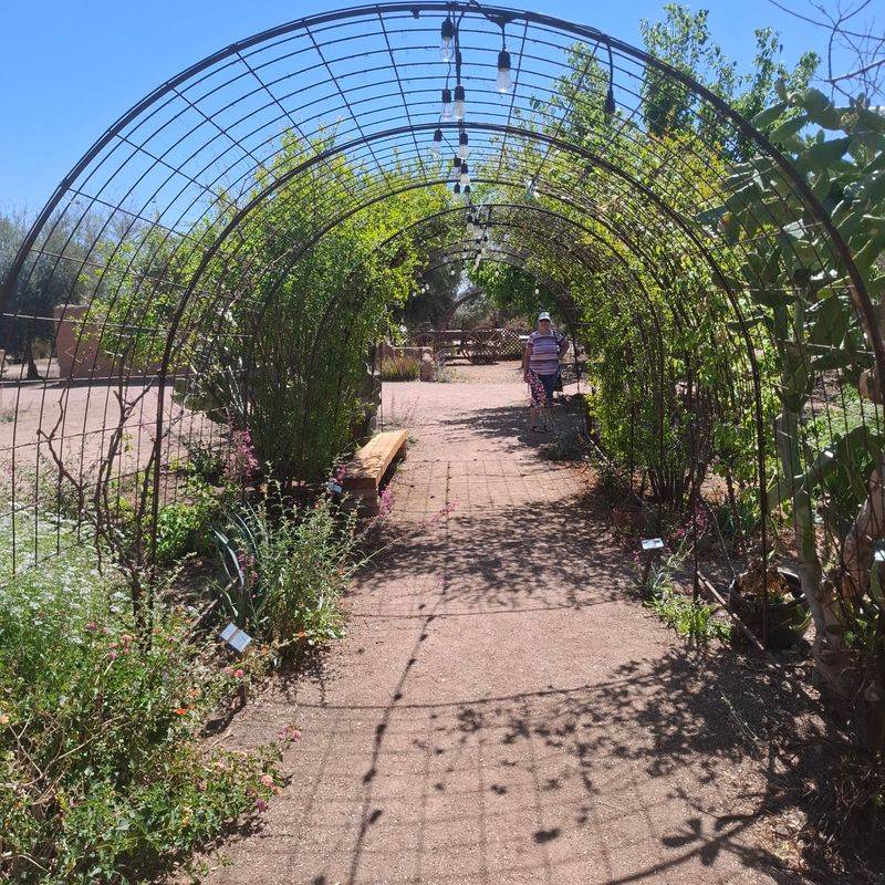 Why the Garden Deserves a Morning