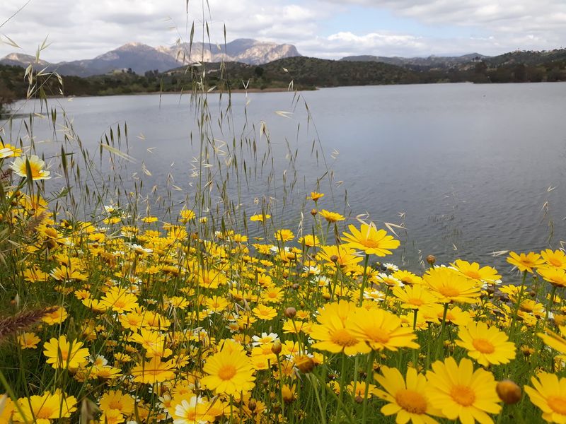 Why the Lake Wins Hearts