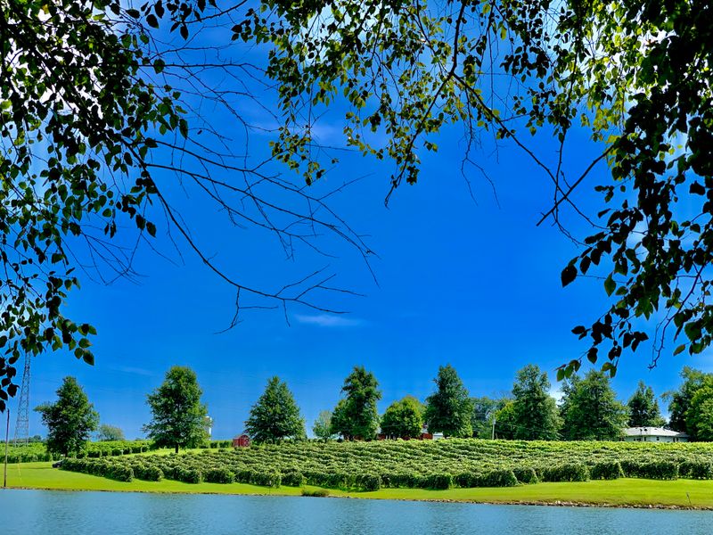 Wide Open Acres and Shady Seats
