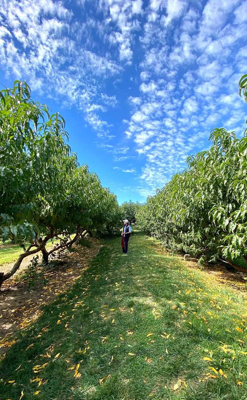 Wightman Farms, Morristown, NJ