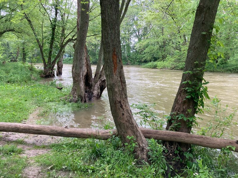 Wildcat Creek And Its Gentle Draw