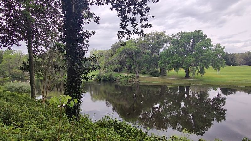 Wildlife, Alligators, And Life Among Nature