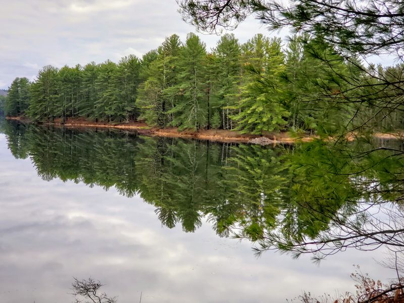 Wildlife Along The Quabbin Trails