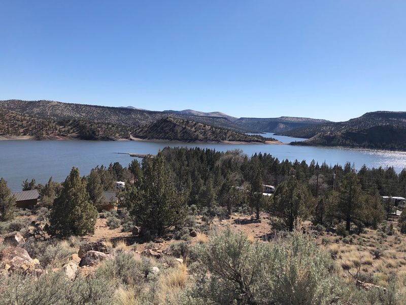 Wildlife And High-Desert Nature
