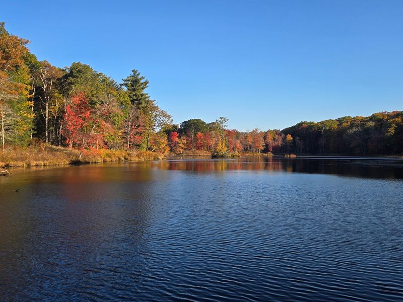 Wildlife And The Rhythm Of The Seasons