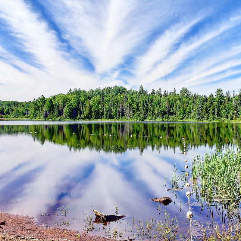 Wildlife And Wetland Wanderings