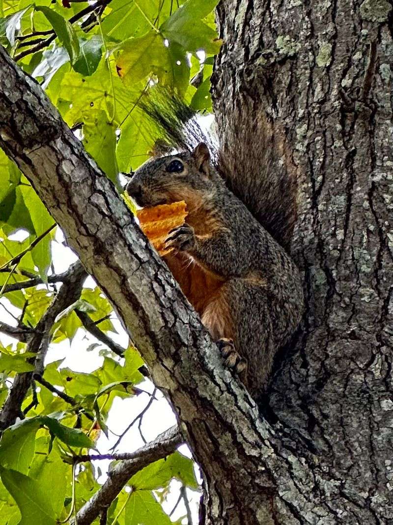 Wildlife Around Every Bend