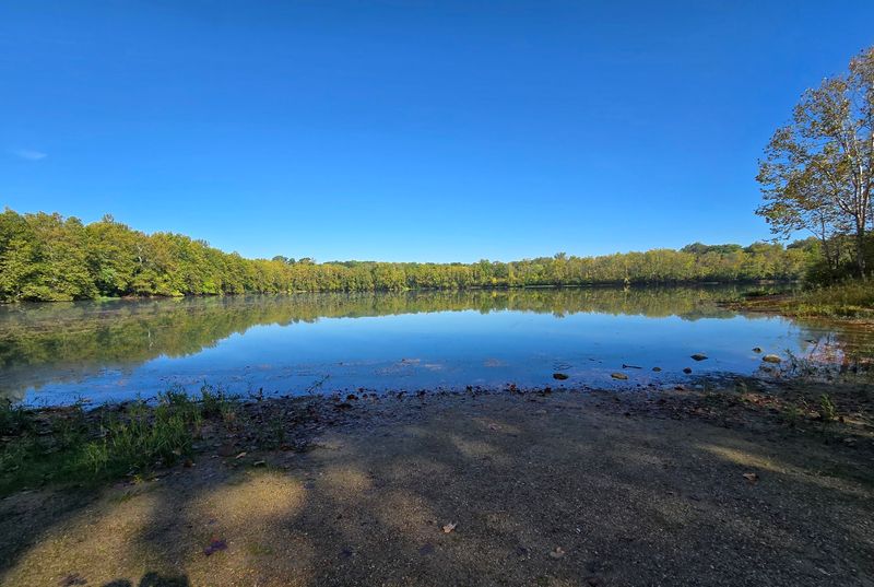 Wildlife Sightings By The Water