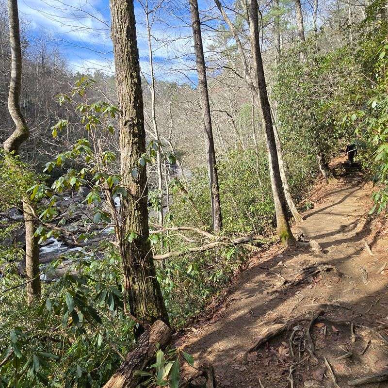 Wildlife and Dog-Friendly Wandering