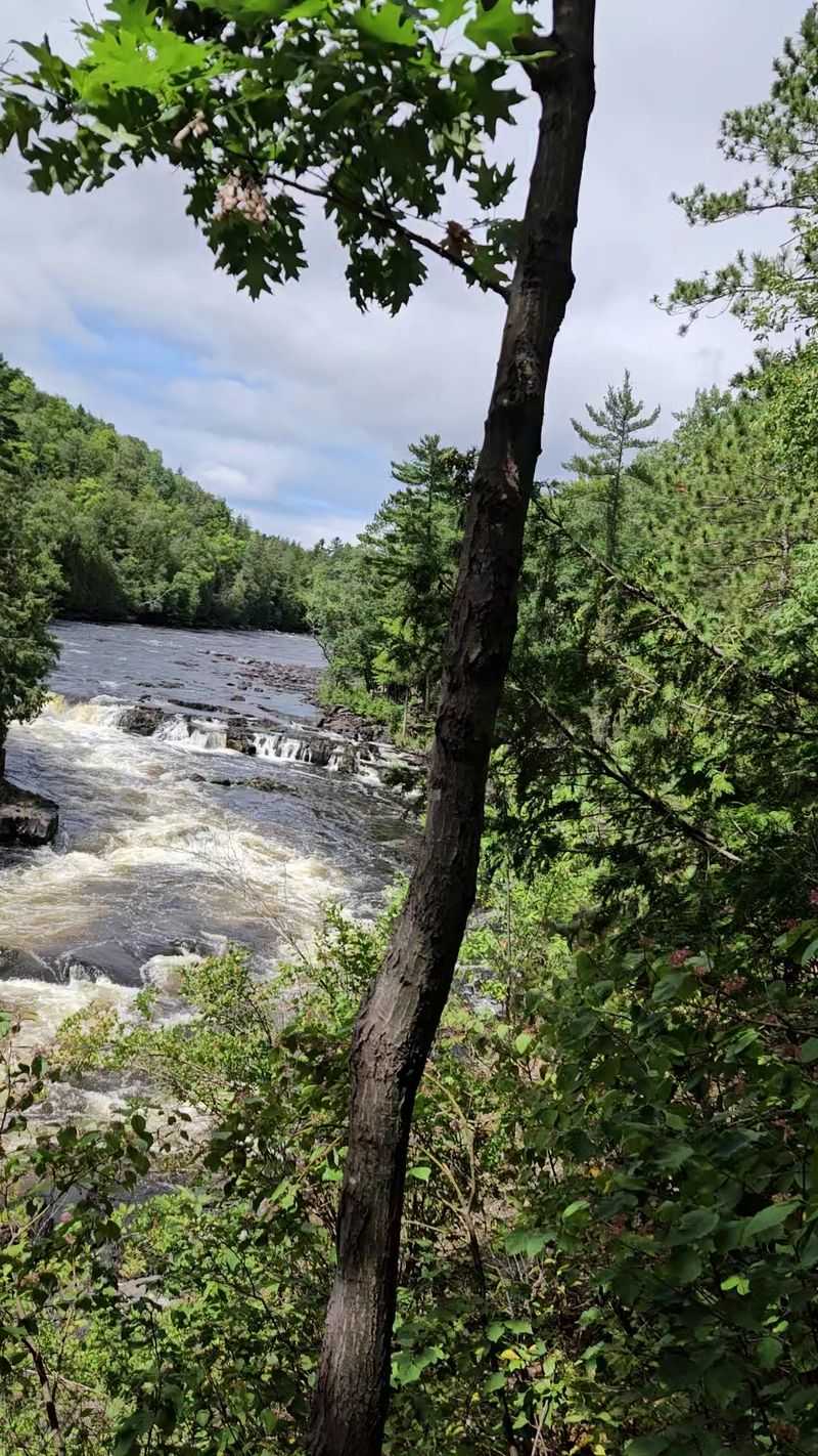 Wildlife and the Quiet North Country Wildlife and the Quiet North Country