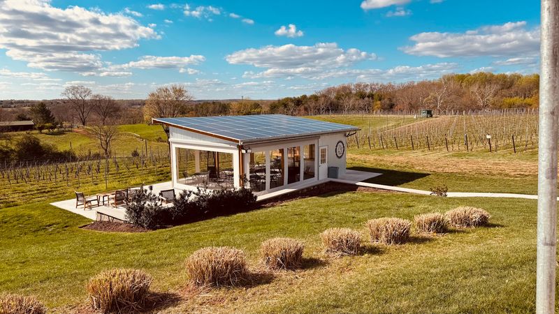 Windridge Vineyards, Darnestown, MD