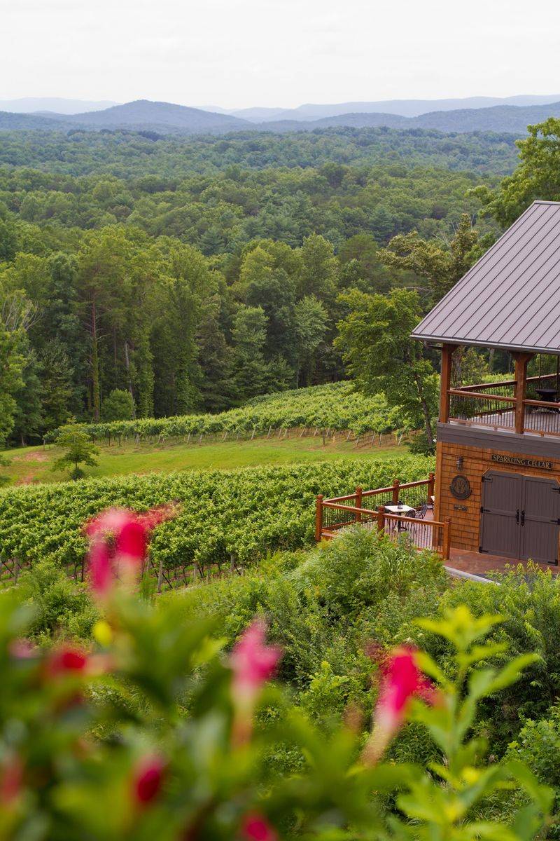 Wolf Mountain Vineyards, Dahlonega, Georgia Wolf Mountain Vineyards, Dahlonega, Georgia