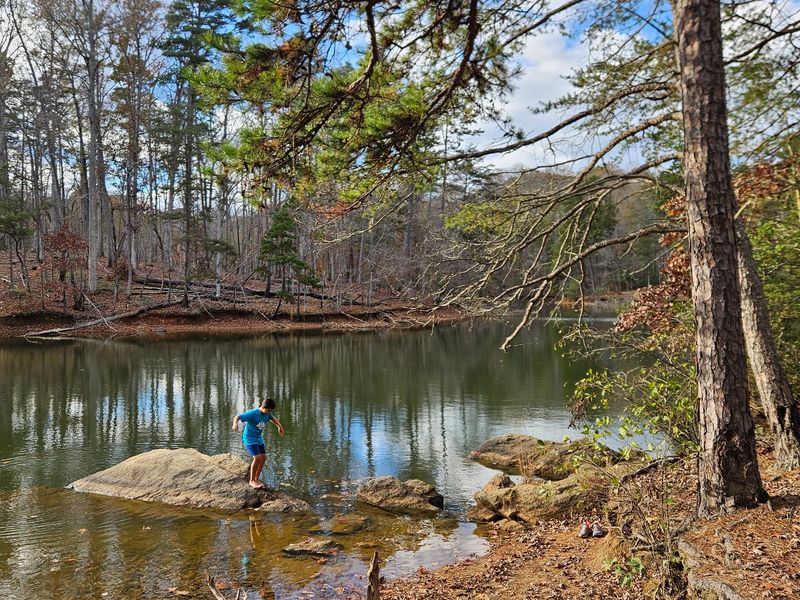 Woodsy Campsites and Rental Cabins