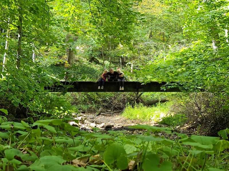 Worth the Trip Into the Woods Worth the Trip Into the Woods