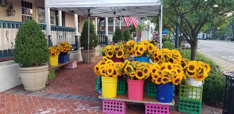 Worthington Farmers Market, Worthington, OH