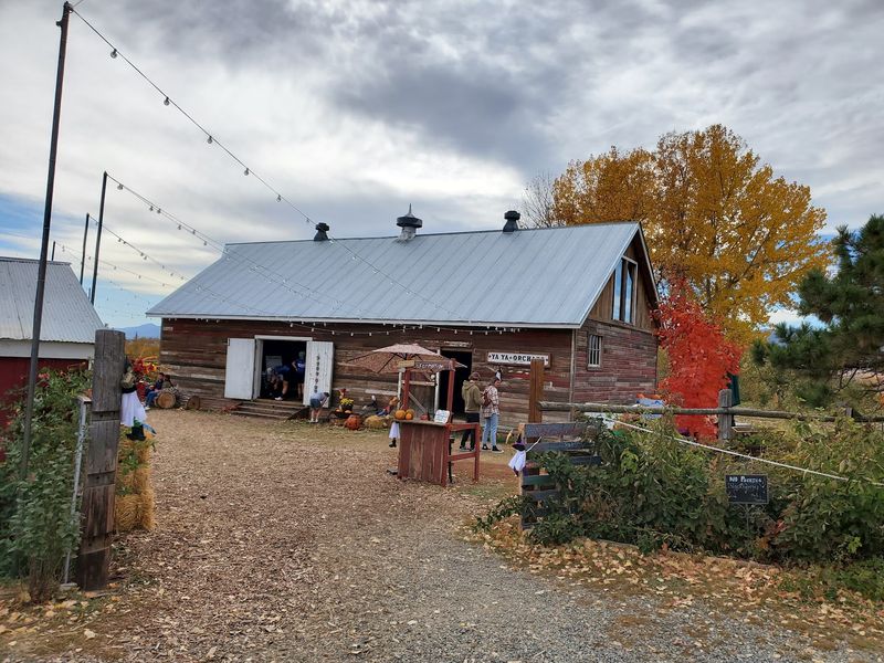 YA YA Farm & Orchard, Longmont, CO YA YA Farm & Orchard, Longmont, CO