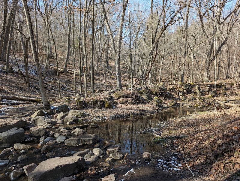 Young Explorers, Winter Ice, and Flashlight Hikes