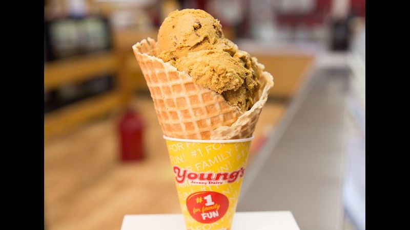 Young's Jersey Dairy, Yellow Springs, OH