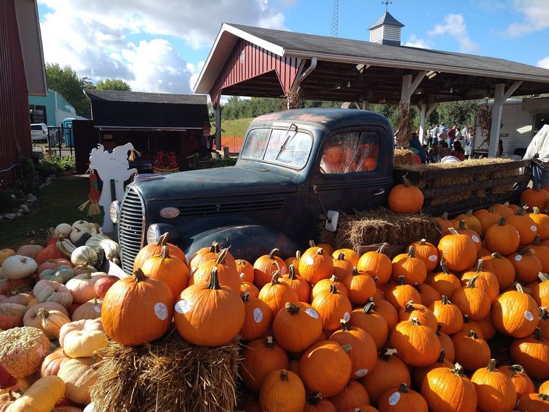 Pumpkin Season Brings Cars From Three States To Kercher’s Sunrise Orchards In Goshen