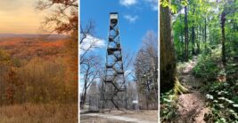 Climb The Fire Tower For Miles Of Forest Views At This Sprawling Indiana State Forest