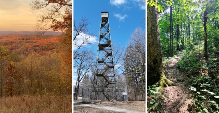 Climb The Fire Tower For Miles Of Forest Views At This Sprawling Indiana State Forest