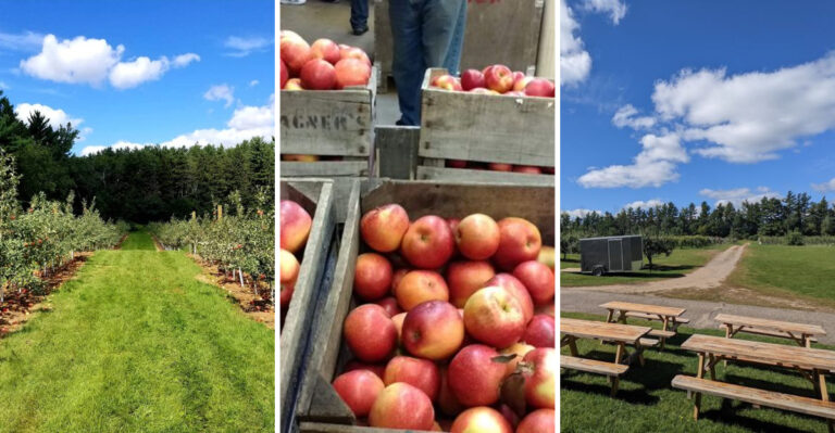This Family-Run Minnesota Orchard Presses The Fresh Cider Locals Load Up On Every Fall