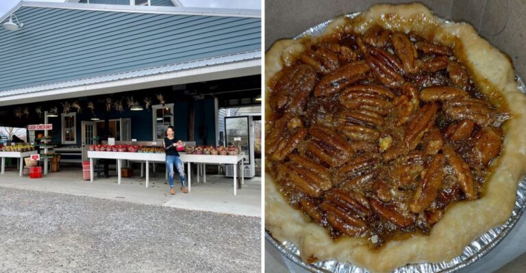 Seven New York Roadside Stands Where Fresh Sweet Corn Comes With Homemade Pie