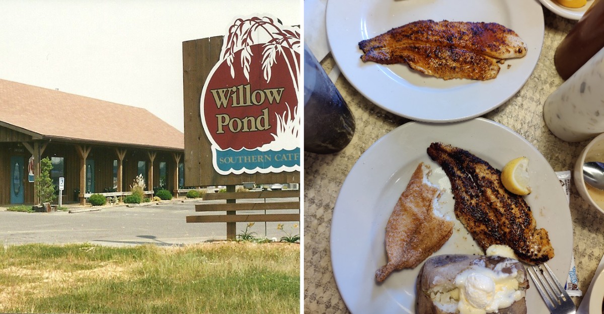 Order A Plate Of Fried Catfish And Fixings At Willow Pond Catfish Restaurant In Eddyville, Kentucky