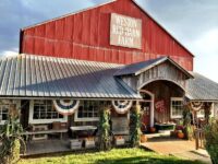 Bring A Cooler To This Missouri Orchard Where You Pick Apples And Sip Fresh Cider