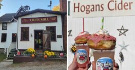 Craving Real New England Cider Doughnuts? These 5 Connecticut Mills Fry Them Fresh Daily
