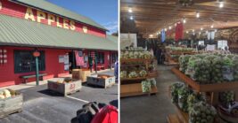 Fried Apple Pies, Fritters, And Fresh Donuts Make This Beloved Georgia Farm Market Worth The Drive