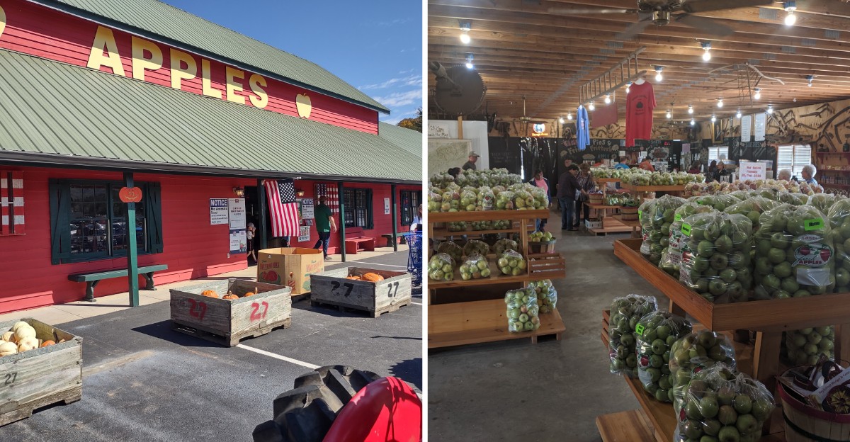 Fried Apple Pies, Fritters, And Fresh Donuts Make This Beloved Georgia Farm Market Worth The Drive