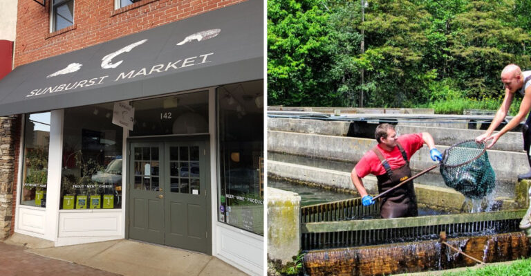 This Mountain Restaurant In North Carolina Serves Trout So Fresh It Was Swimming That Morning